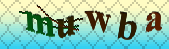 captcha_error_images_off