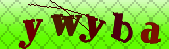 Error: Please enable images in your browser
