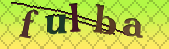 captcha_error_images_off