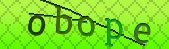 Error: Please enable images in your browser