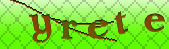Error: Please enable images in your browser