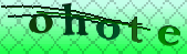 Error: Please enable images in your browser