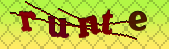 captcha_error_images_off