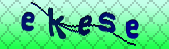 captcha_error_images_off