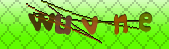 Error: Please enable images in your browser