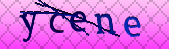 Error: Please enable images in your browser