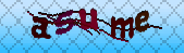 captcha_error_images_off