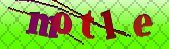 Error: Please enable images in your browser