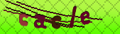 Oops!! Captcha error!!!