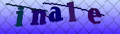 Error: Please enable images in your browser