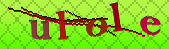 Error: Please enable images in your browser