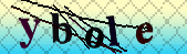 Error: Please enable images in your browser