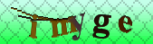 Error: Please enable images in your browser
