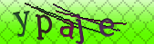 Error: Please enable images in your browser