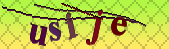Oops!! Captcha error!!!