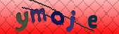 captcha_error_images_off