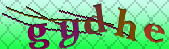 Error: Please enable images in your browser