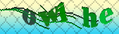 captcha_error_images_off