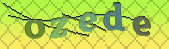 Oops!! Captcha error!!!