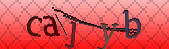 captcha_error_images_off