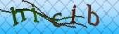 Error: Please enable images in your browser