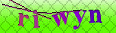 Error: Please enable images in your browser