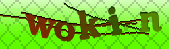 Error: Please enable images in your browser