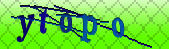 captcha_error_images_off