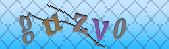 captcha_error_images_off