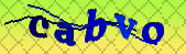 captcha_error_images_off