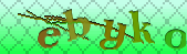 Error: Please enable images in your browser