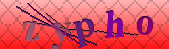 Error: Please enable images in your browser