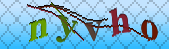 Error: Please enable images in your browser
