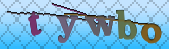 Error: Please enable images in your browser