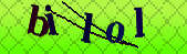 Error: Please enable images in your browser