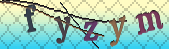 captcha_error_images_off
