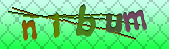 Error: Please enable images in your browser