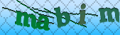 Error: Please enable images in your browser