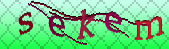 captcha_error_images_off