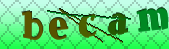 Error: Please enable images in your browser