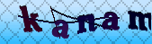 captcha_error_images_off