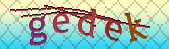 captcha_error_images_off