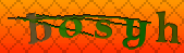 Error: Please enable images in your browser