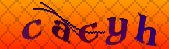Error: Please enable images in your browser