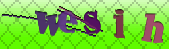 Error: Please enable images in your browser