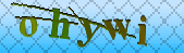 Error: Please enable images in your browser