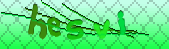 captcha_error_images_off