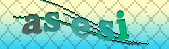 captcha_error_images_off