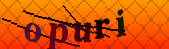 Error: Please enable images in your browser