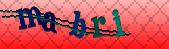 Error: Please enable images in your browser